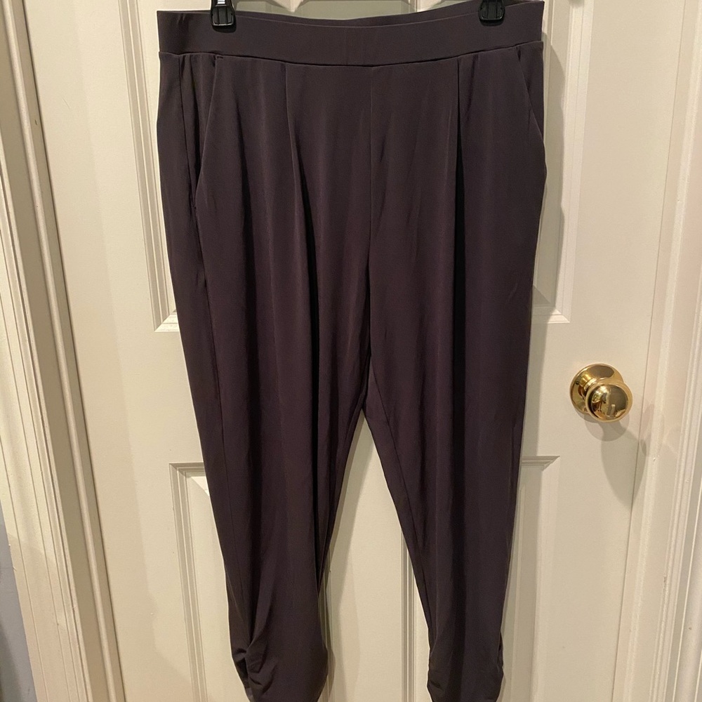 Express dressy jogger pants